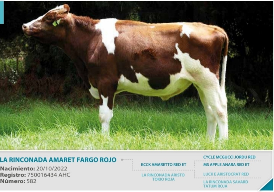 FARGO ROJO